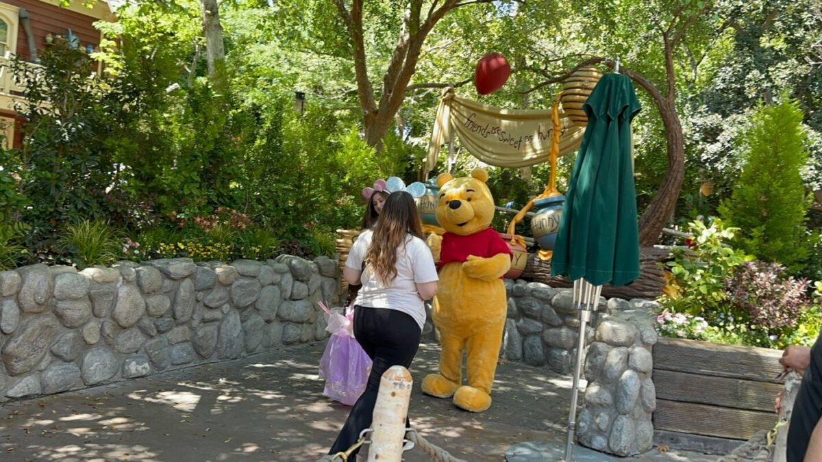 A person wearing mouse ears interacts with a person in a winnie the pooh costume at a themed park, surrounded by greenery and a balloon.