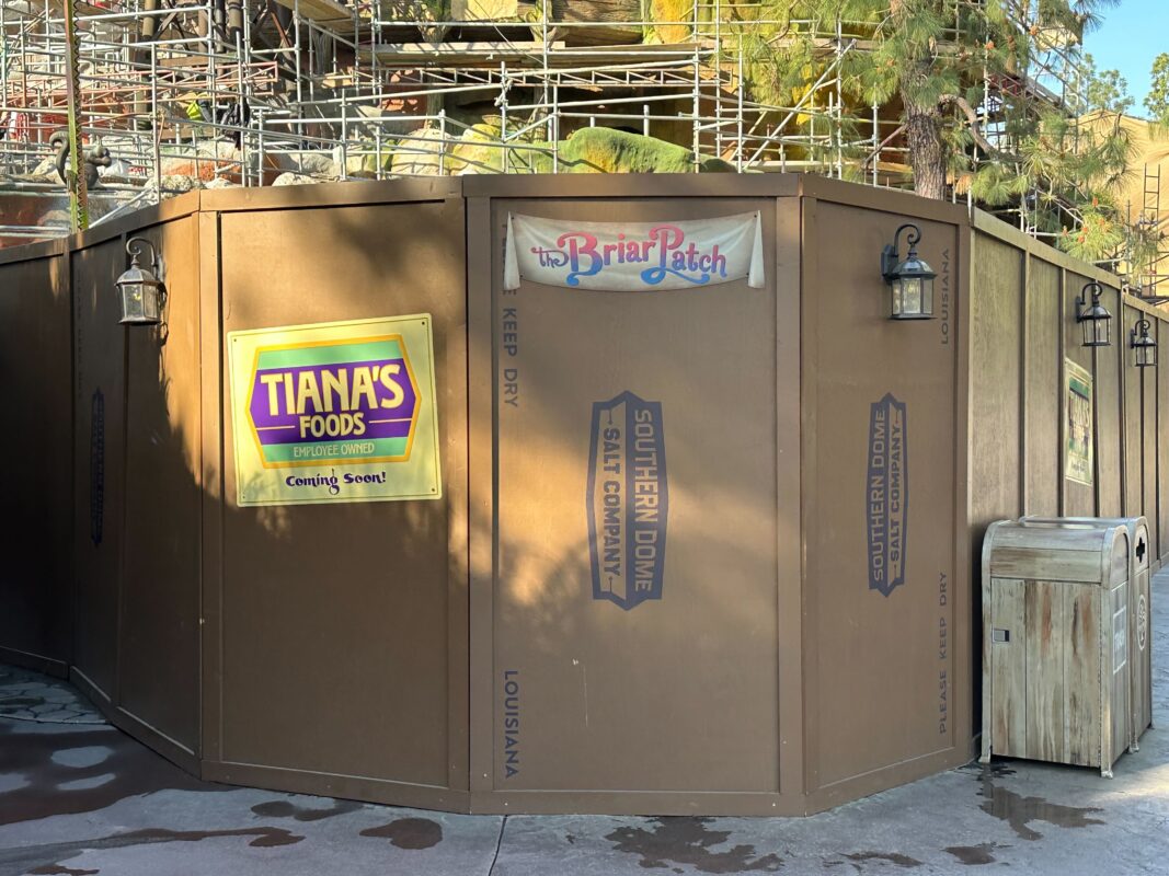 The Briar Patch sign on Tiana's Bayou Adventure construction wall