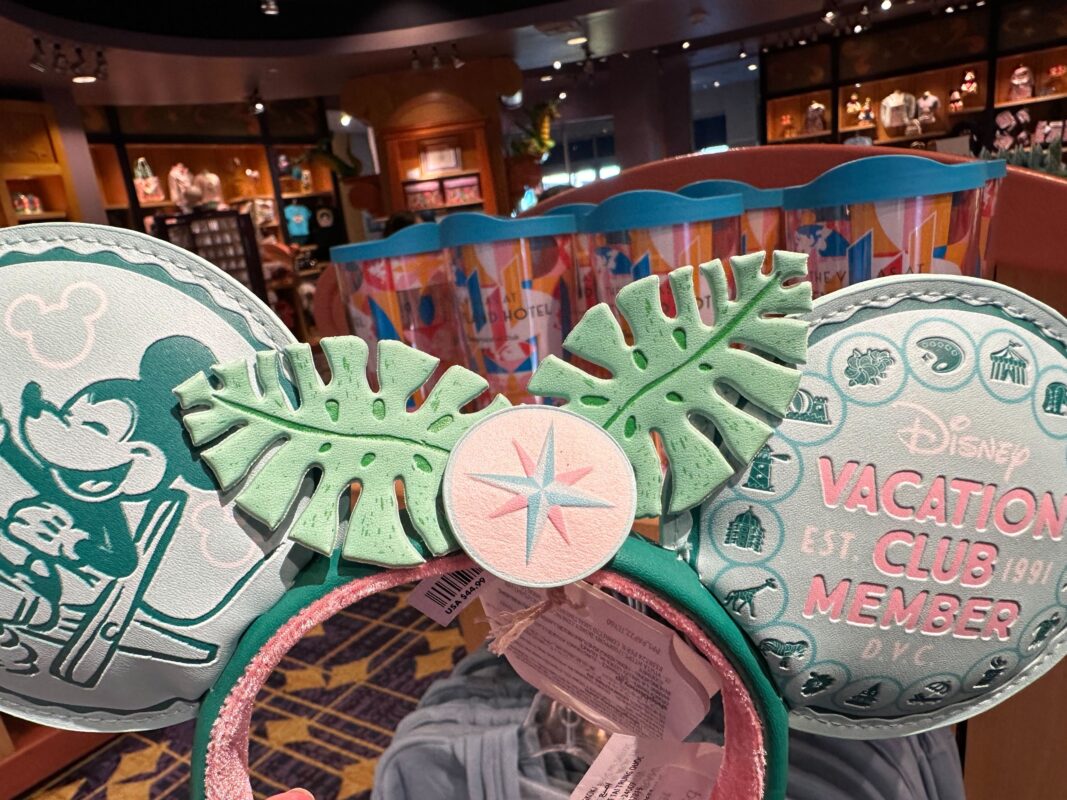 A close-up of the two leaves and compass rose that serve as the headband's "bow."