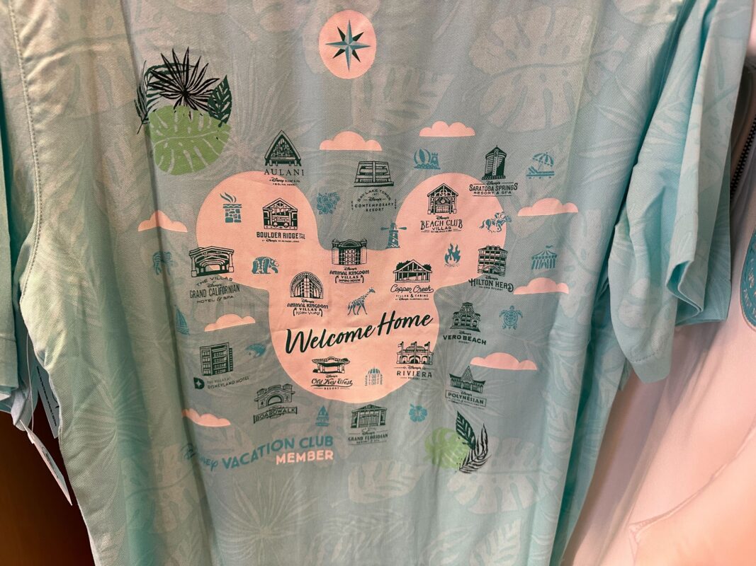 A close-up of the art on the back of the shirt.