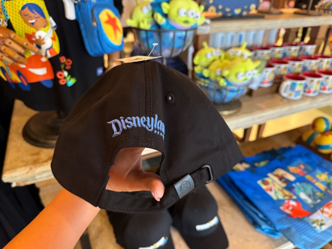 A reporter's hand showing the Disneyland Resort logo on the back of the ball cap.