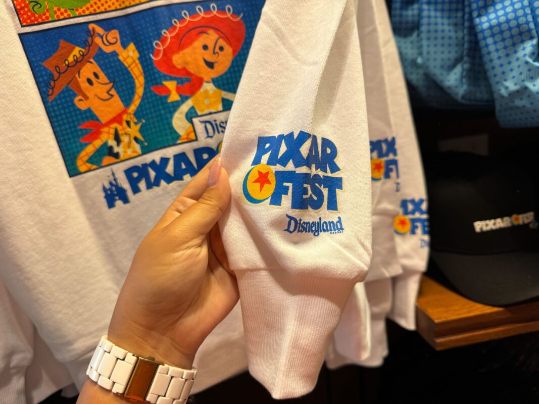 A close-up of the Pixar Fest logo on the sleeve.