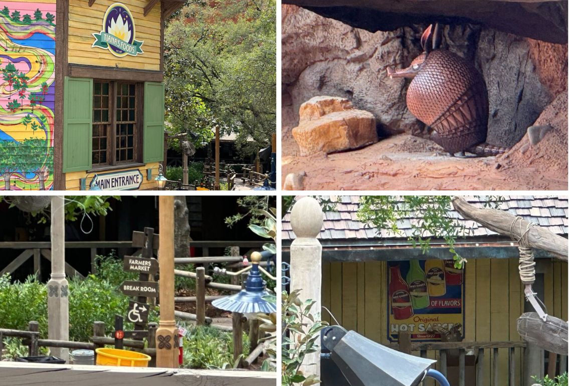 Tiana's Bayou Adventure construction collage