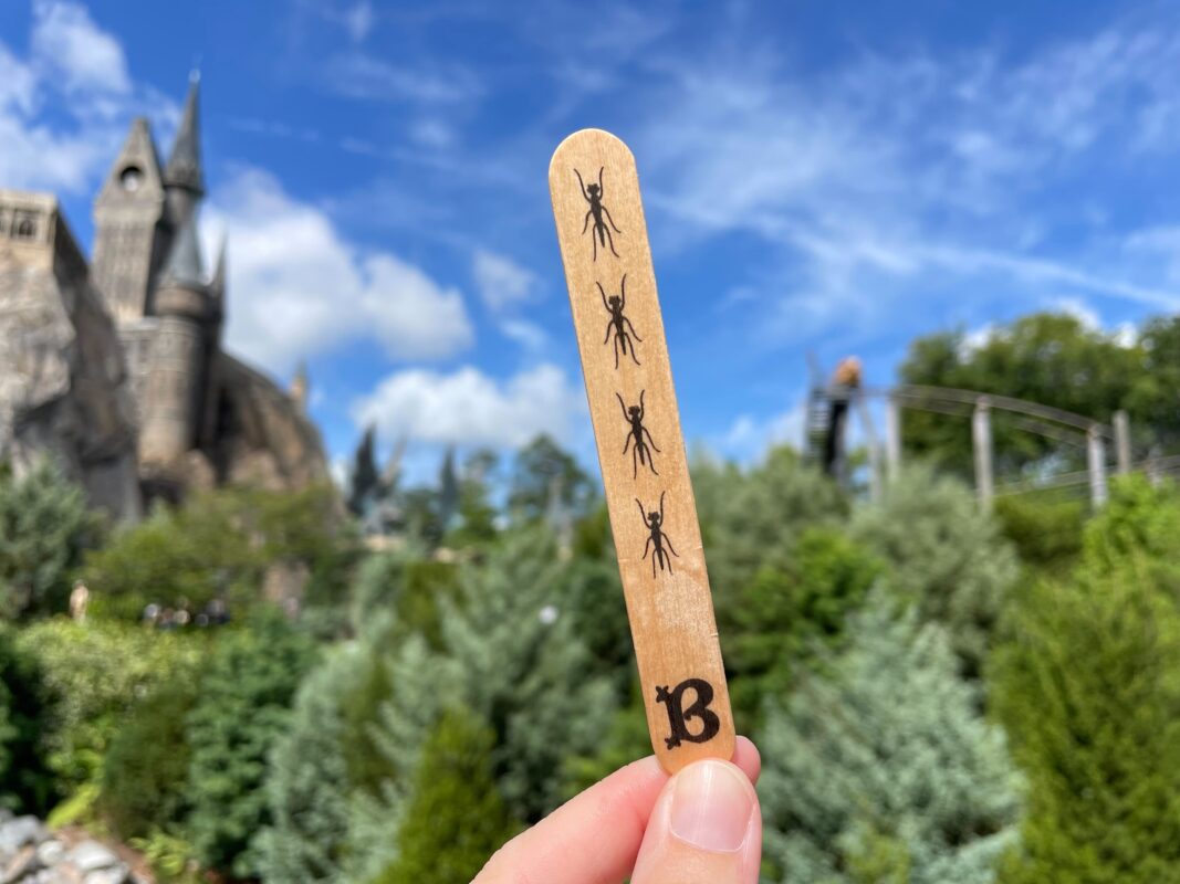 Wood popsicle stick with black bug design