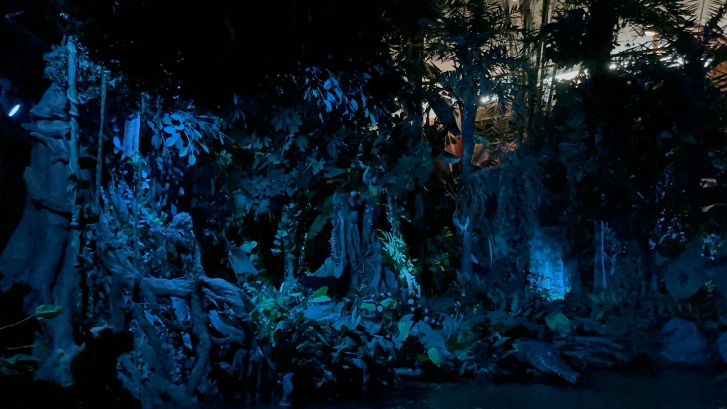 Living with the Land rainforest scene with new lighting