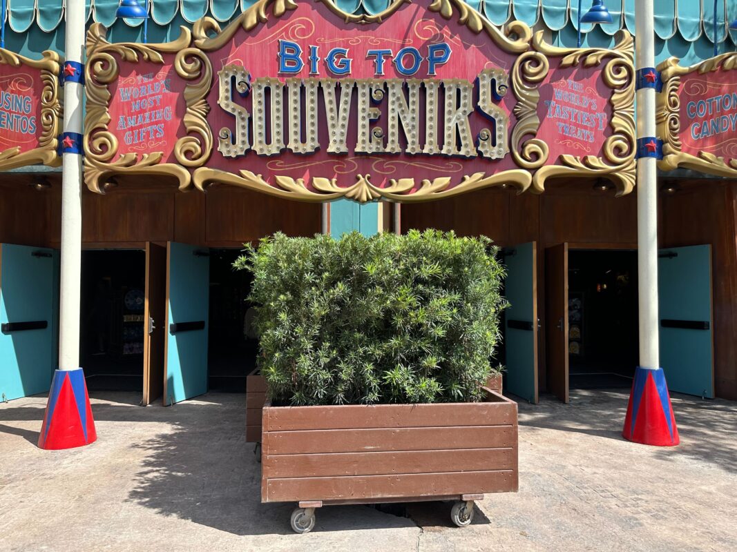 Rolling planters in front of Big Top Souvenirs