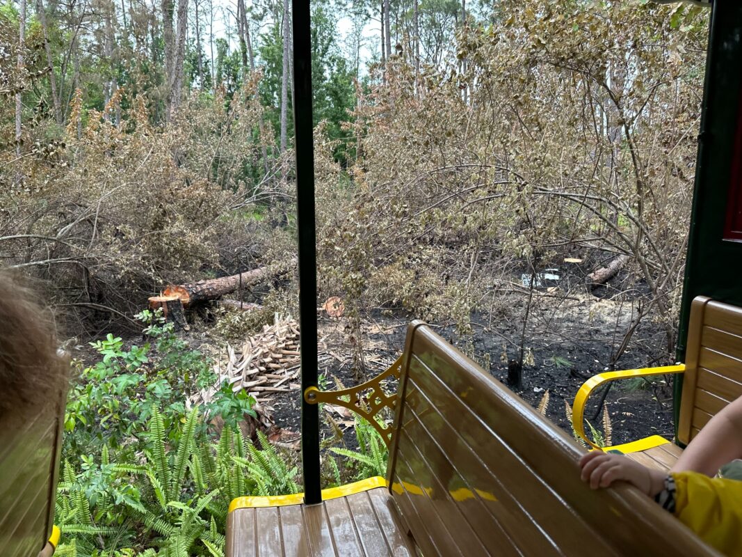 A look at one of the burn sites when viewed from the train, caused by fireworks.