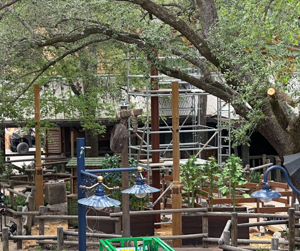 Tiana's garden