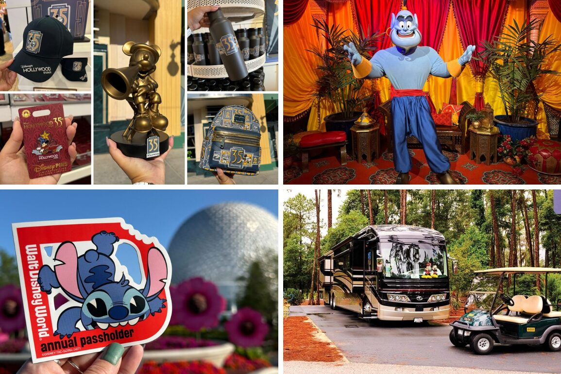 Collage of eight images providing a daily recap of various Disney World items and scenes, including merchandise, a character in costume, and park transportation.