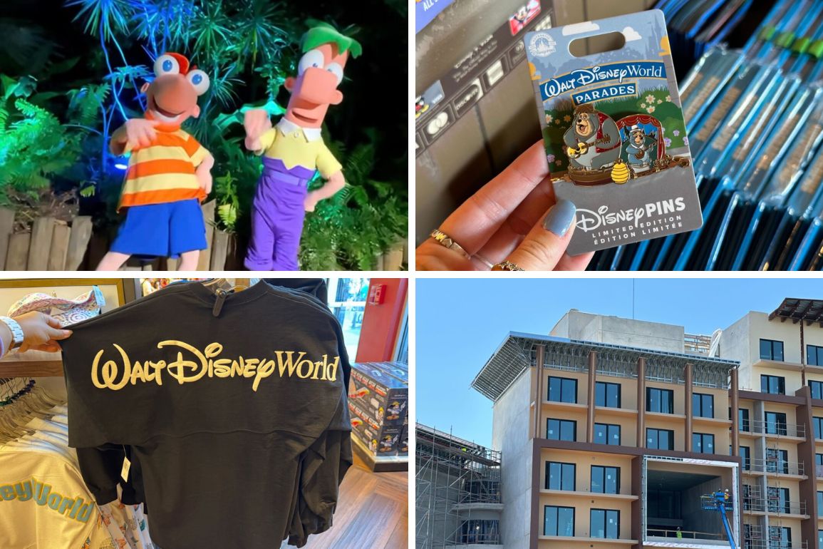 Daily recap of Disney World items: figures of Goofy and Donald Duck, a Disney pin package, a Disney World T-shirt, and an exterior view of a Disney resort building.