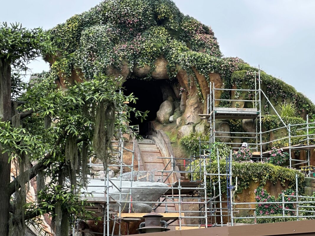 A large, rocky outdoor structure covered with scaffolding and surrounded by vegetation. The structure has a cave-like opening at the top.