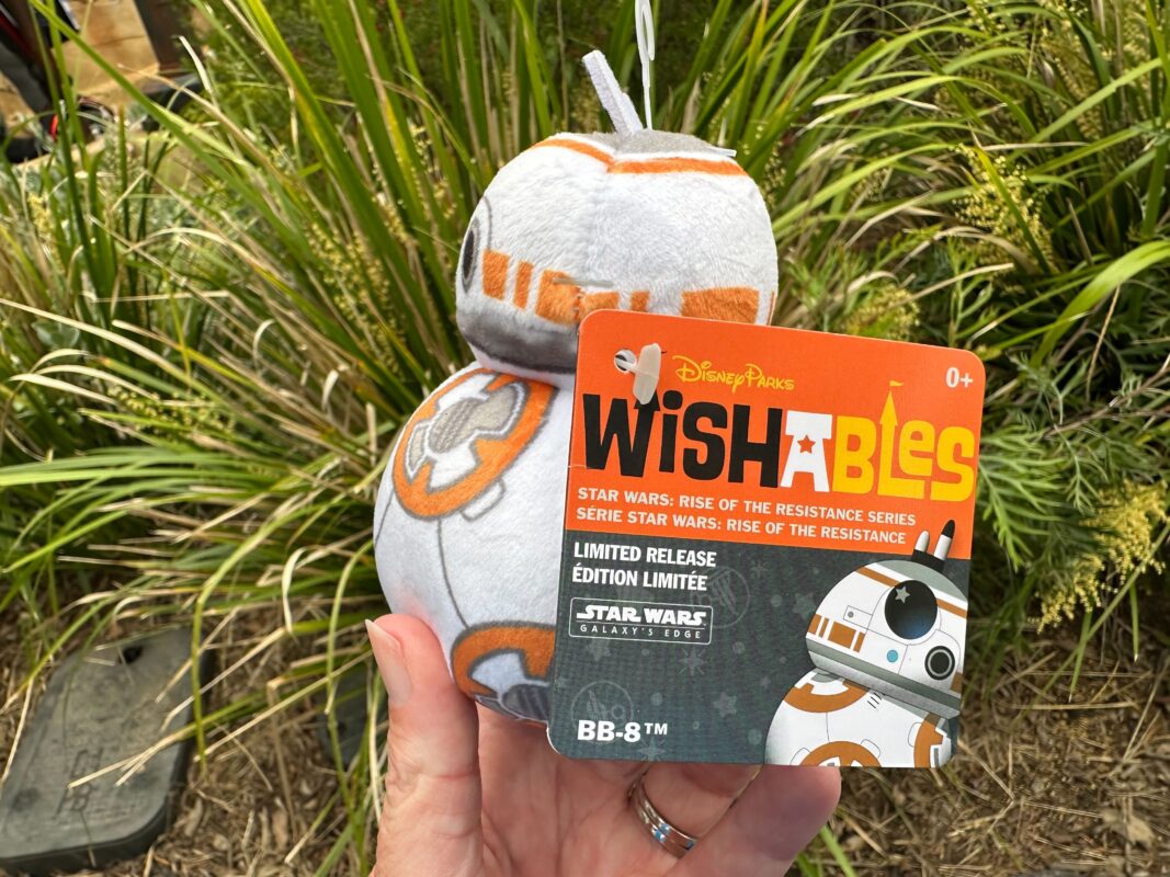Hand holding a BB-8 plush toy from Disney's Wishables "Star Wars: Rise of the Resistance" series, with its packaging in front of green plants.