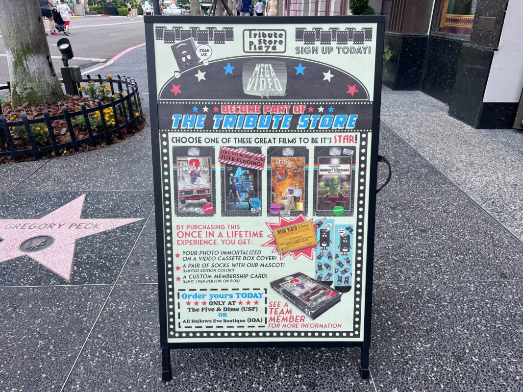 A sandwich board advertising a tribute video party at a store, offering personalized music videos and various star-themed packages.