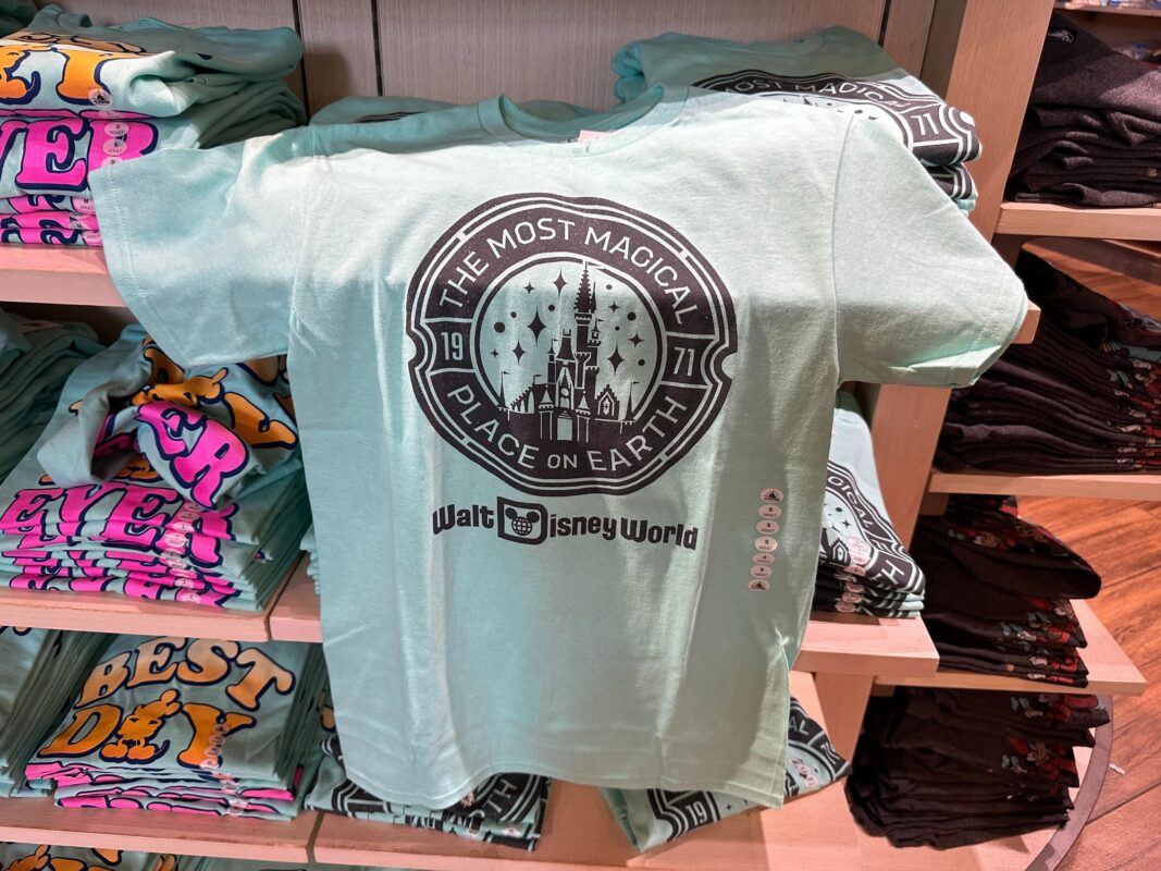Teal blue short-sleeved T-shirt with black Walt Disney World Cinderella Castle design on chest