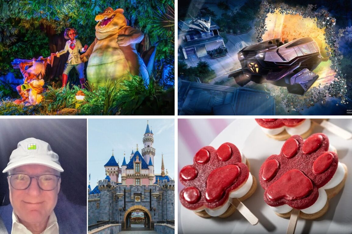 A daily recap collage featuring an animatronic show with characters, a futuristic-themed ride, a man in a white cap, Disneyland castle, and red paw-shaped desserts.