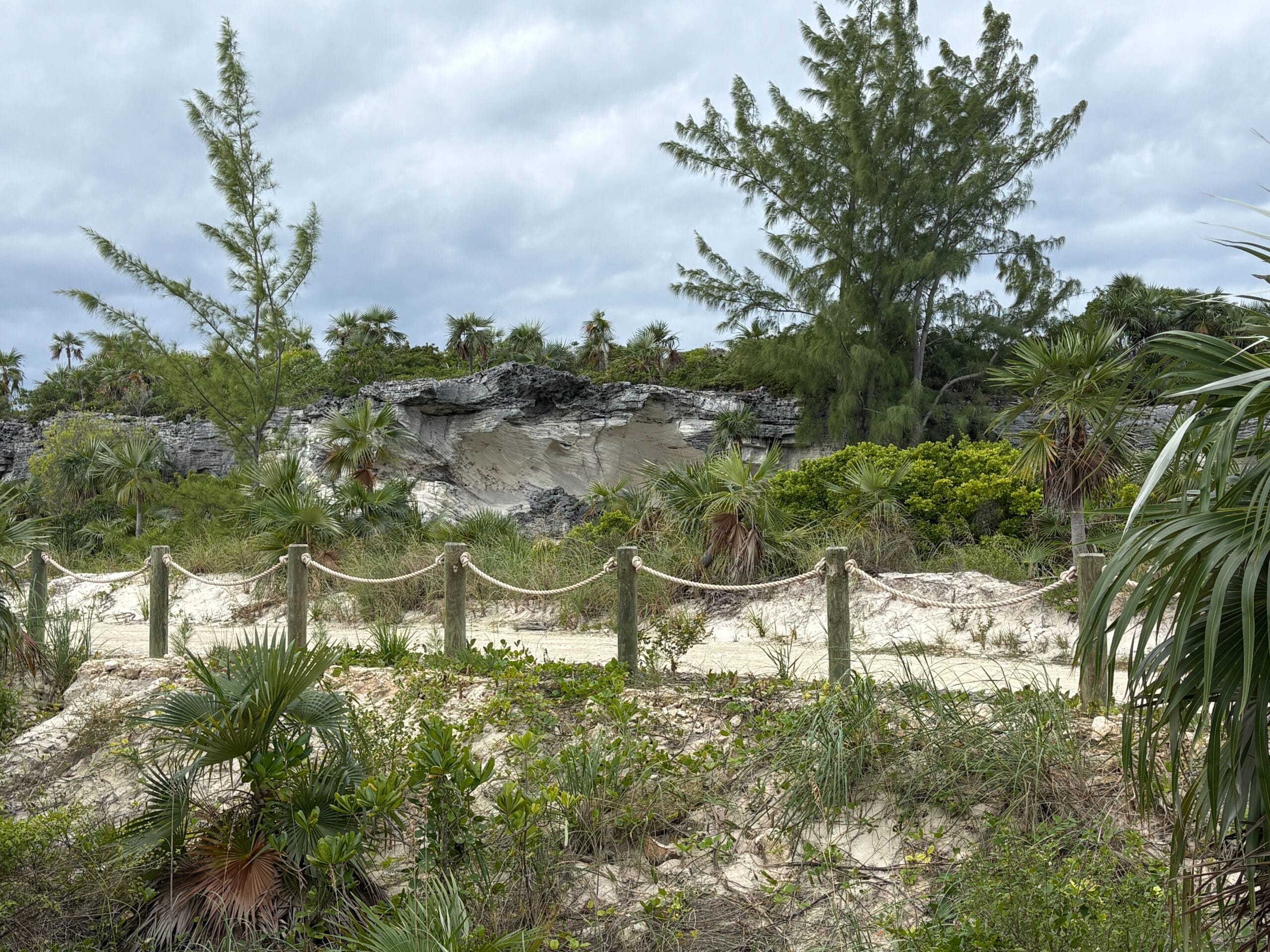 Nature trail on Disney's Lookout Cay at Lighthouse Point island