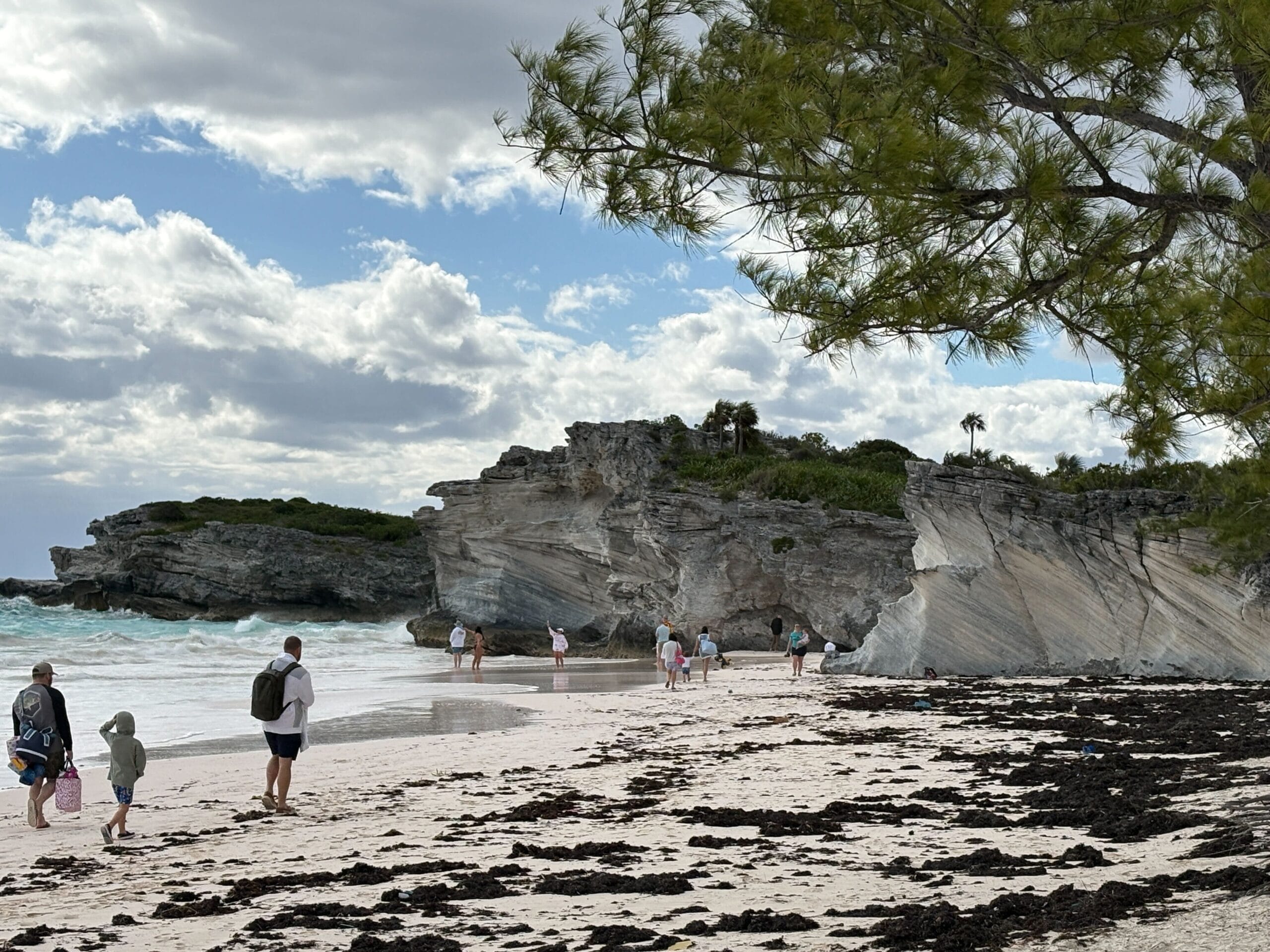Nature trail on Disney's Lookout Cay at Lighthouse Point island