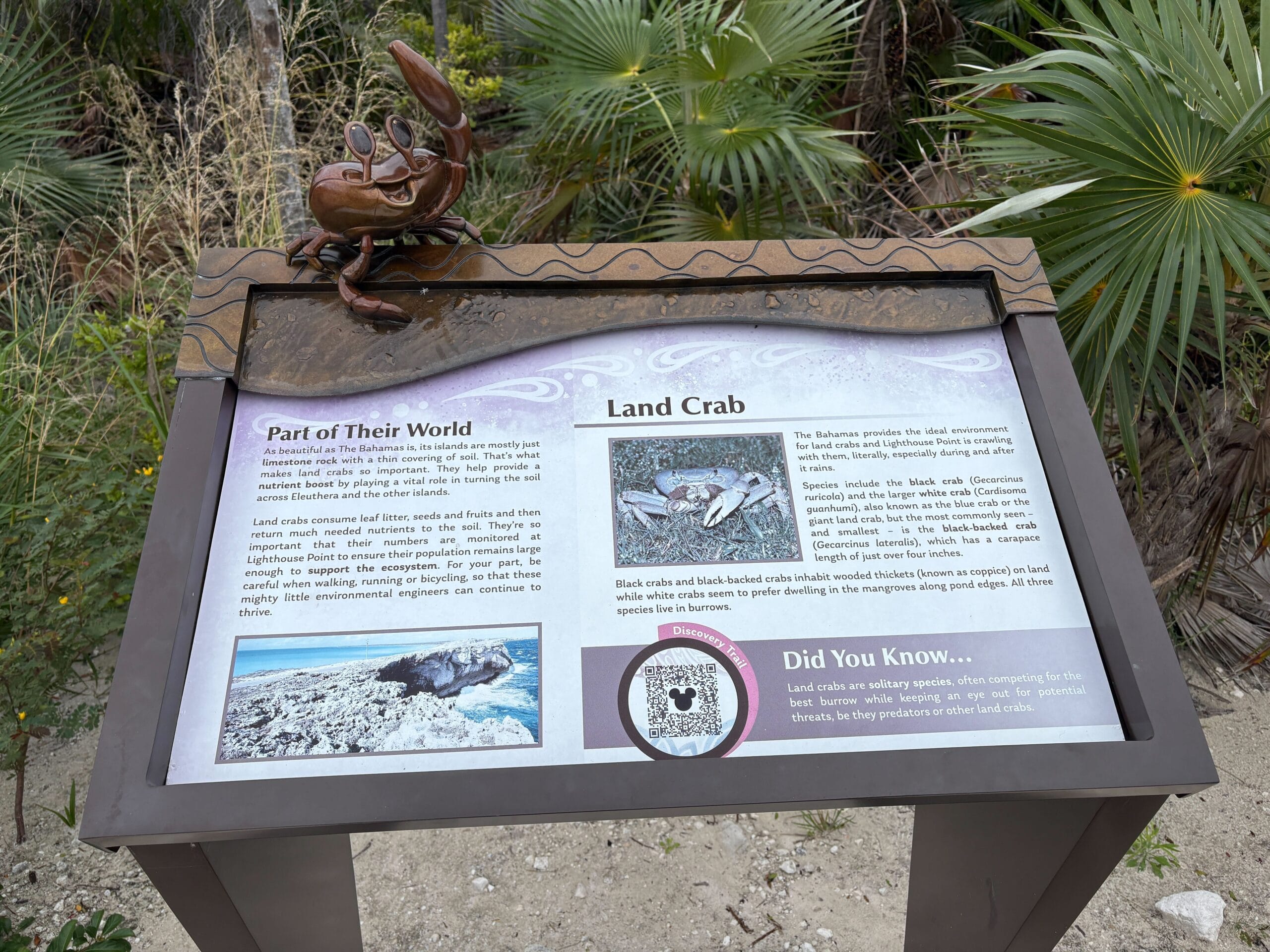 Nature trail on Disney's Lookout Cay at Lighthouse Point island