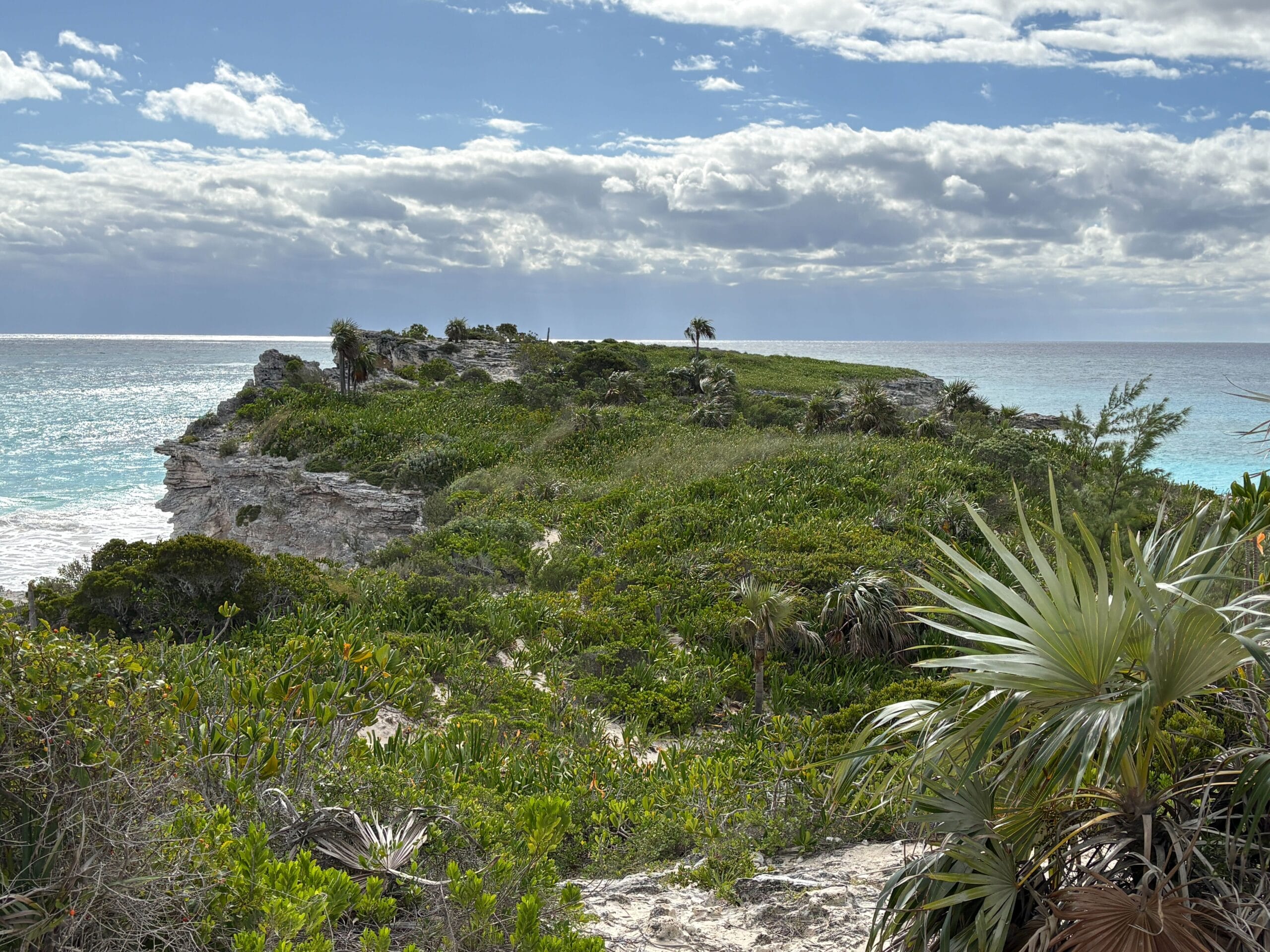 Nature trail on Disney's Lookout Cay at Lighthouse Point island