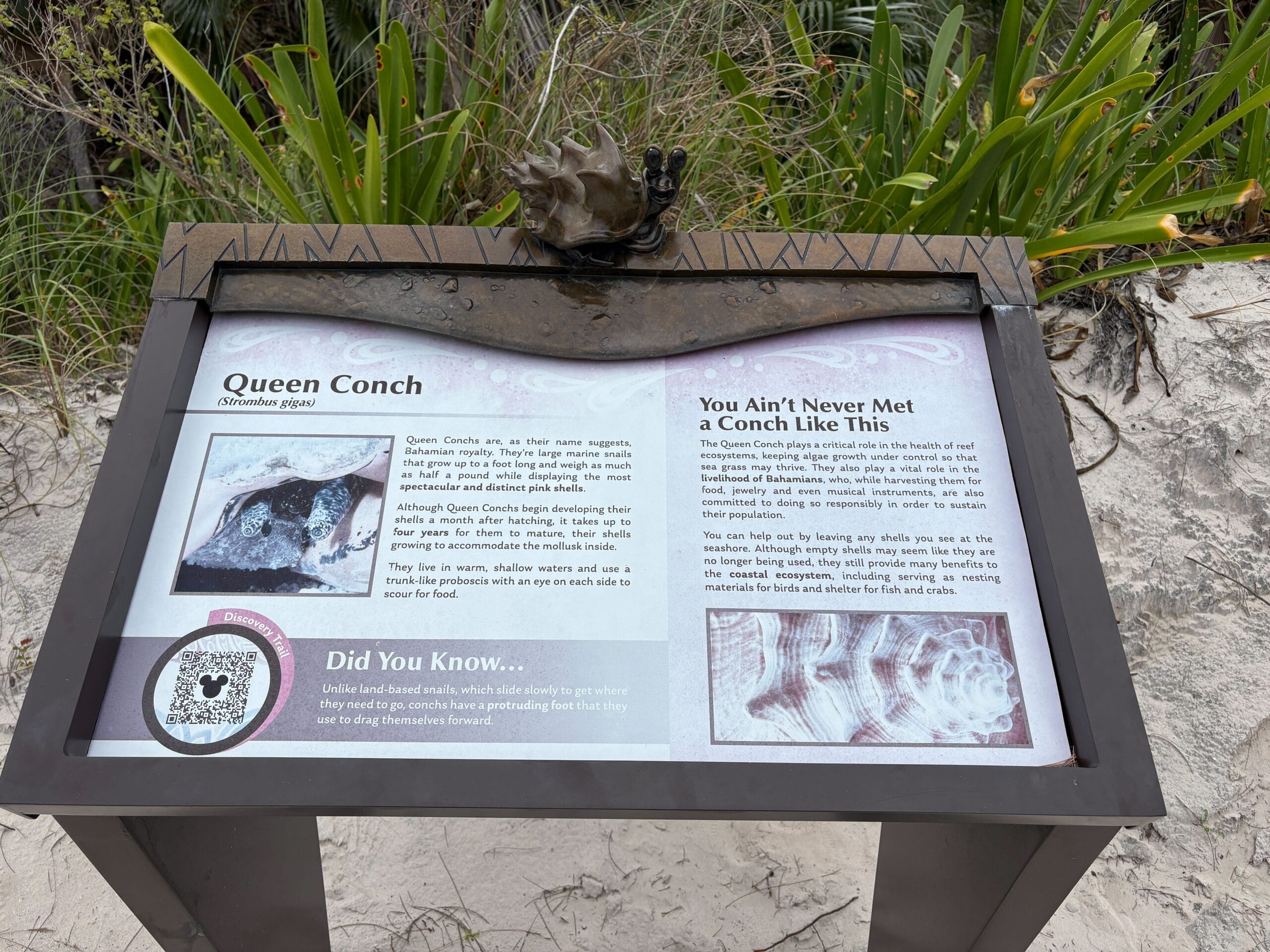Nature trail on Disney's Lookout Cay at Lighthouse Point island