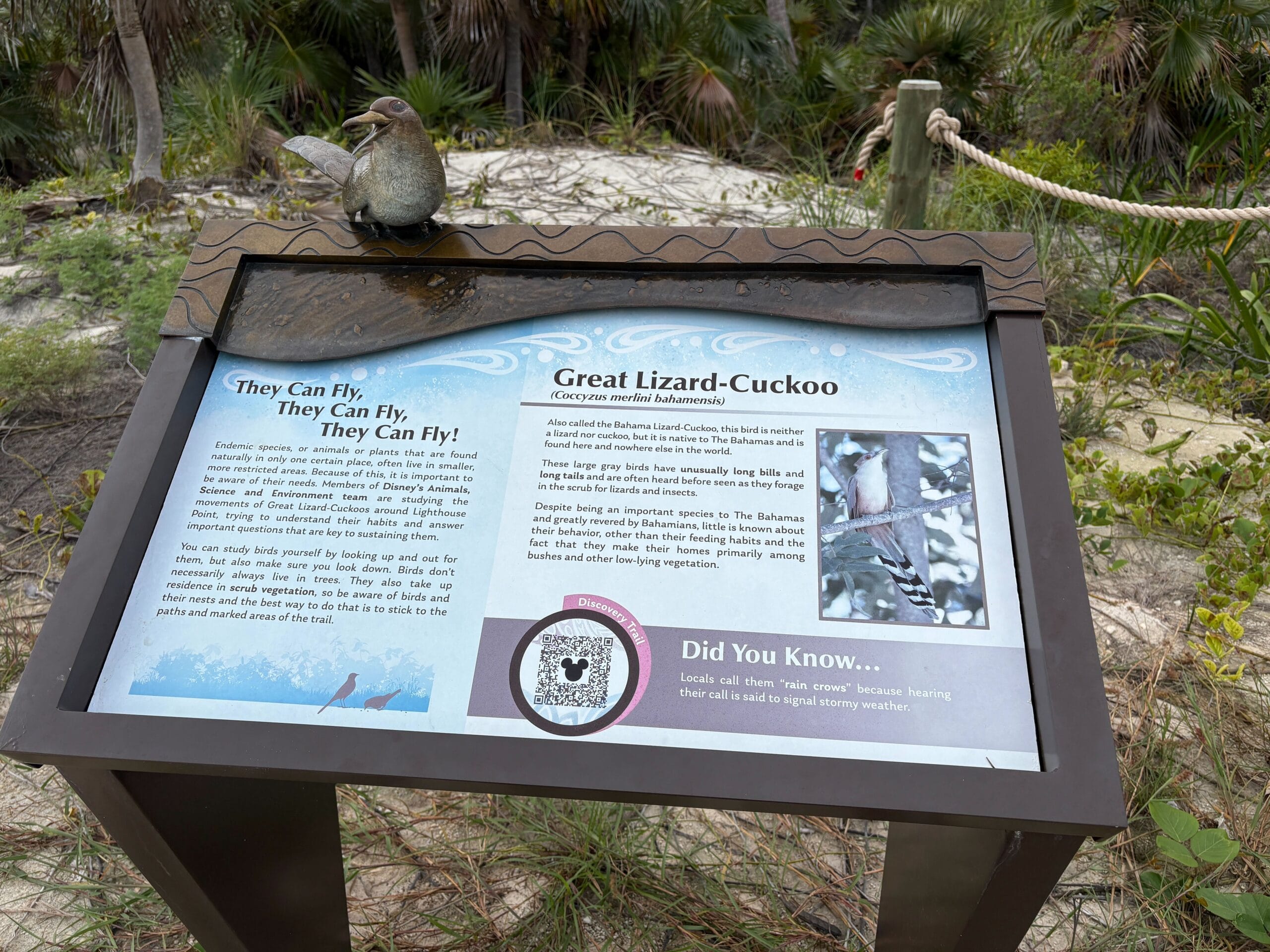 Nature trail on Disney's Lookout Cay at Lighthouse Point island