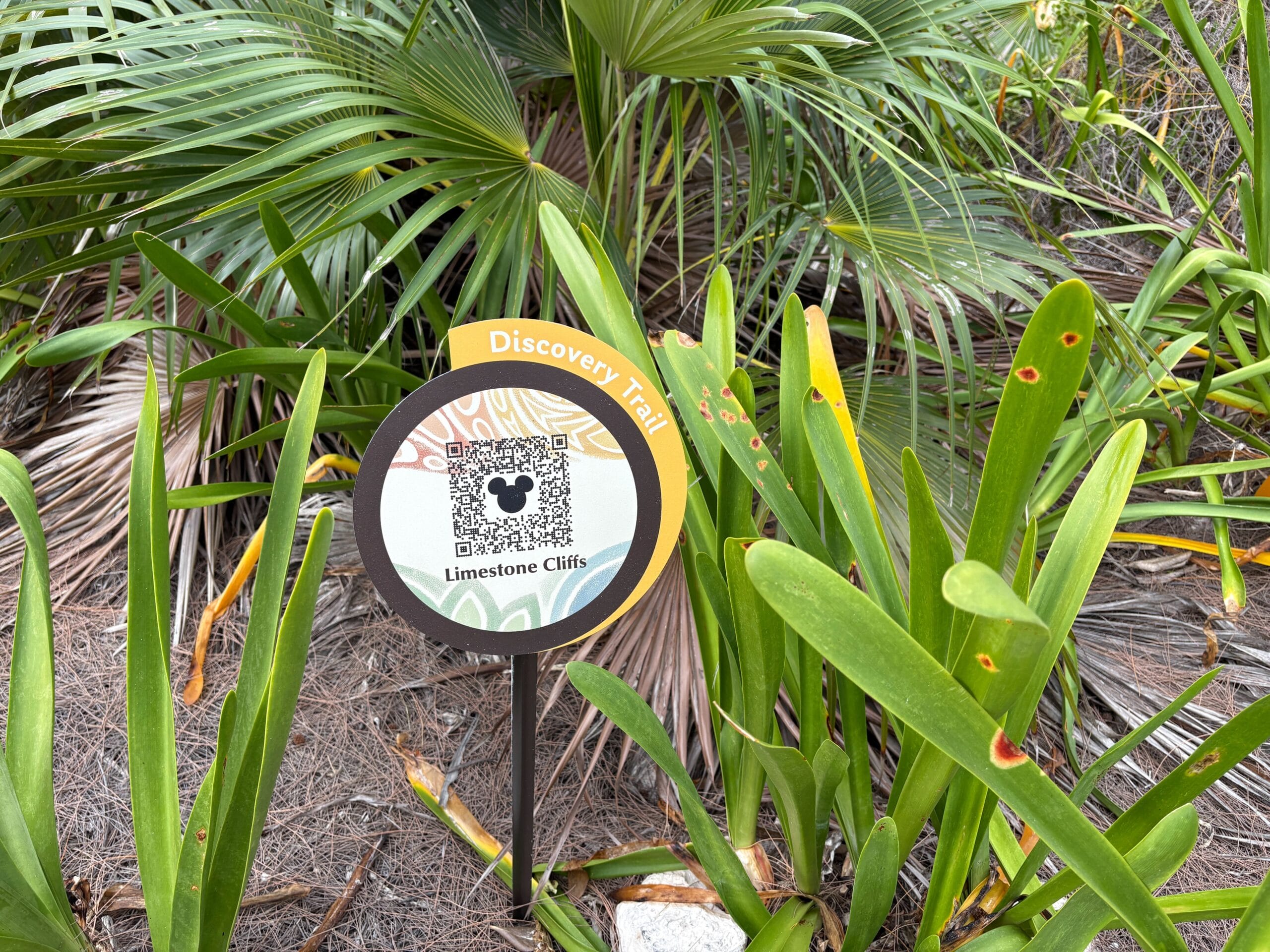 Nature trail on Disney's Lookout Cay at Lighthouse Point island