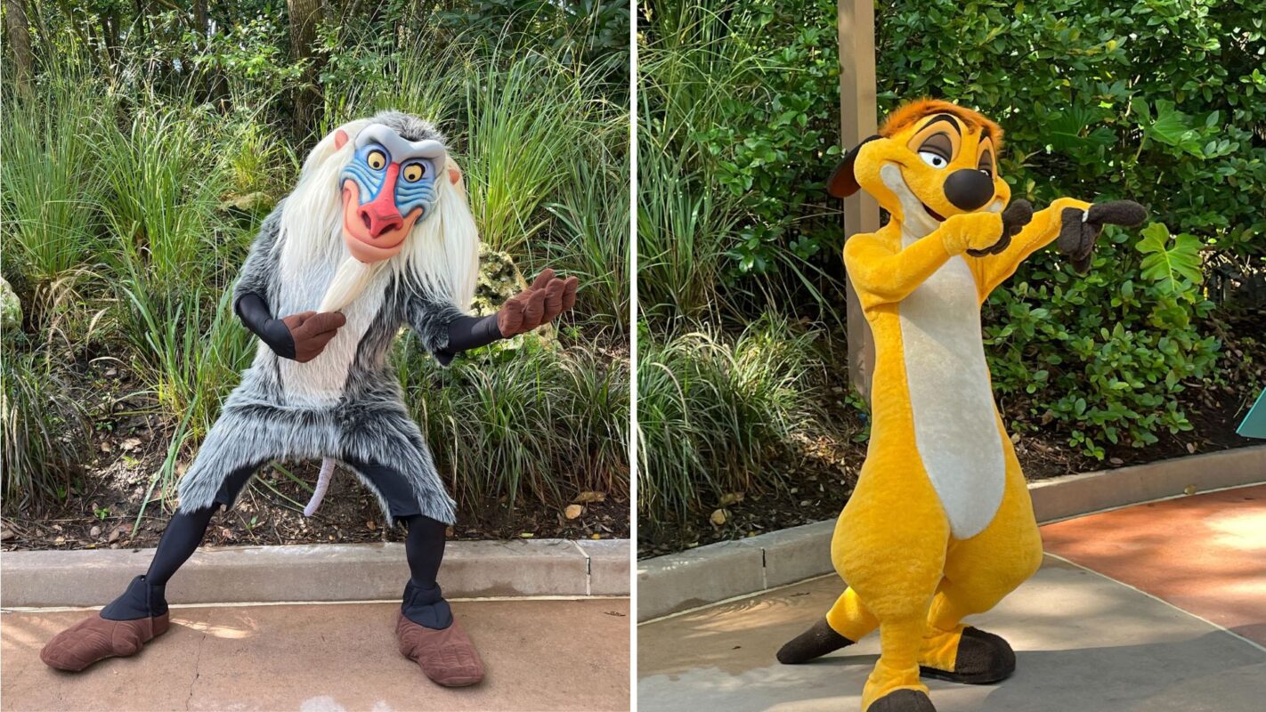 Two costumed characters, one resembling a mandrill with white fur and blue face paint, and the other an orange meerkat, pose outdoors on a pathway, surrounded by greenery.