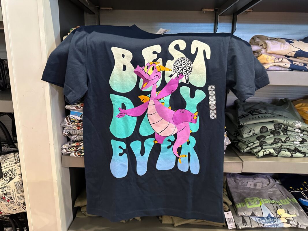 A dark-colored t-shirt featuring a purple dragon holding a patterned object with the phrase "Best Day Ever" in large letters. The shirt is displayed on a shelf among other folded clothing.