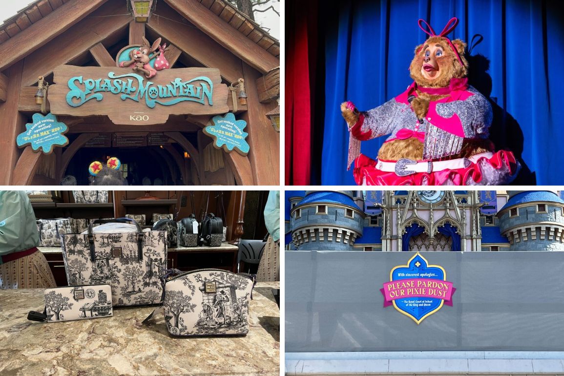 Daily recap: Four images showcase the day's highlights: 1) Splash Mountain sign, 2) Character in pink on stage, 3) Black and white themed merchandise, and 4) Castle under construction with a "Please Pardon Our Pixie Dust" sign.