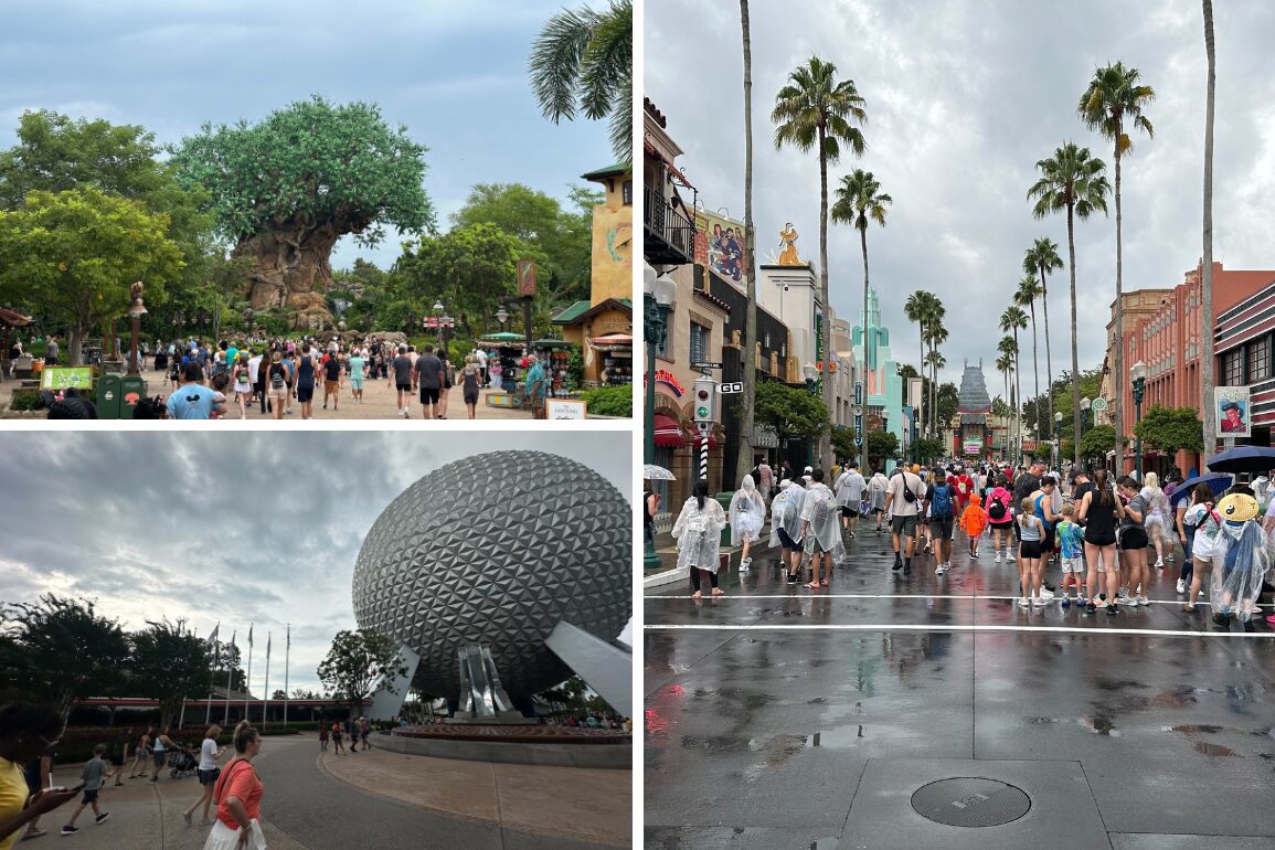 Collage of three theme park scenes: a tree structure with crowded pathways, a futuristic geodesic dome, and a street with palm trees and people in rain ponchos.