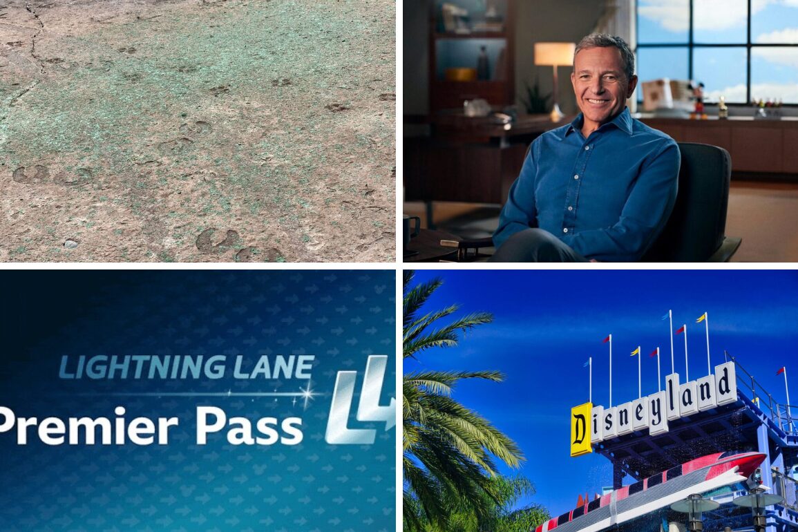 A four-image collage. Top left: Shattered glass on the ground. Top right: A person sitting in an office. Bottom left: Text reading "LIGHTNING LANE Premier Pass." Bottom right: Entrance sign of Disneyland, offering a daily recap of highlights and mishaps.