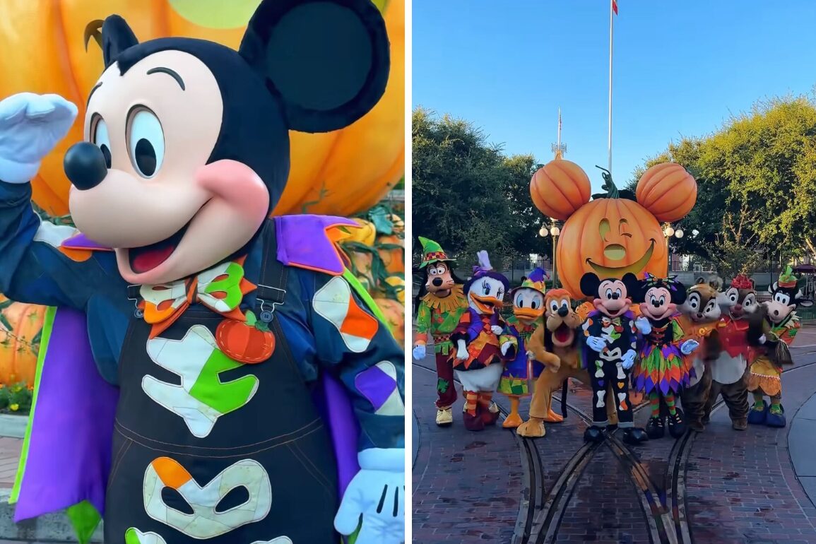 Two-part image: Left side shows Mickey Mouse in a Halloween costume. Right side shows Disney characters in Halloween costumes in front of a large pumpkin at a theme park.