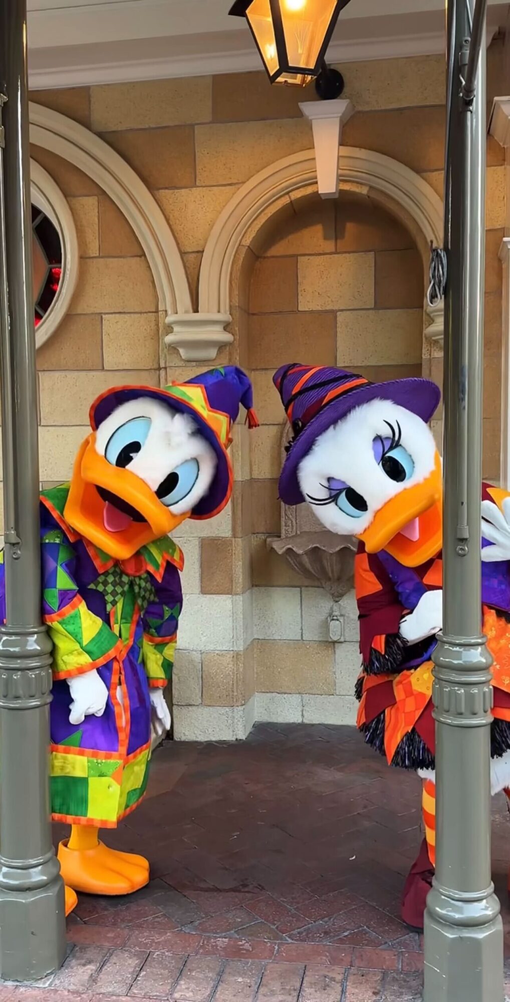 Two costumed cartoon duck characters in colorful Halloween outfits stand under a covered outdoor area, leaning playfully towards each other and smiling at the camera.