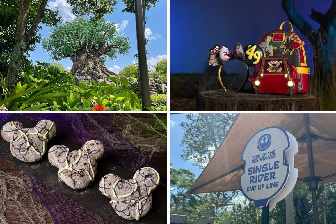 A large tree with animal carvings, a display with Remy-themed props, Mickey-shaped cookies on a tray, and a single rider sign for the "Rise of the Resistance" ride come together in today's daily recap.