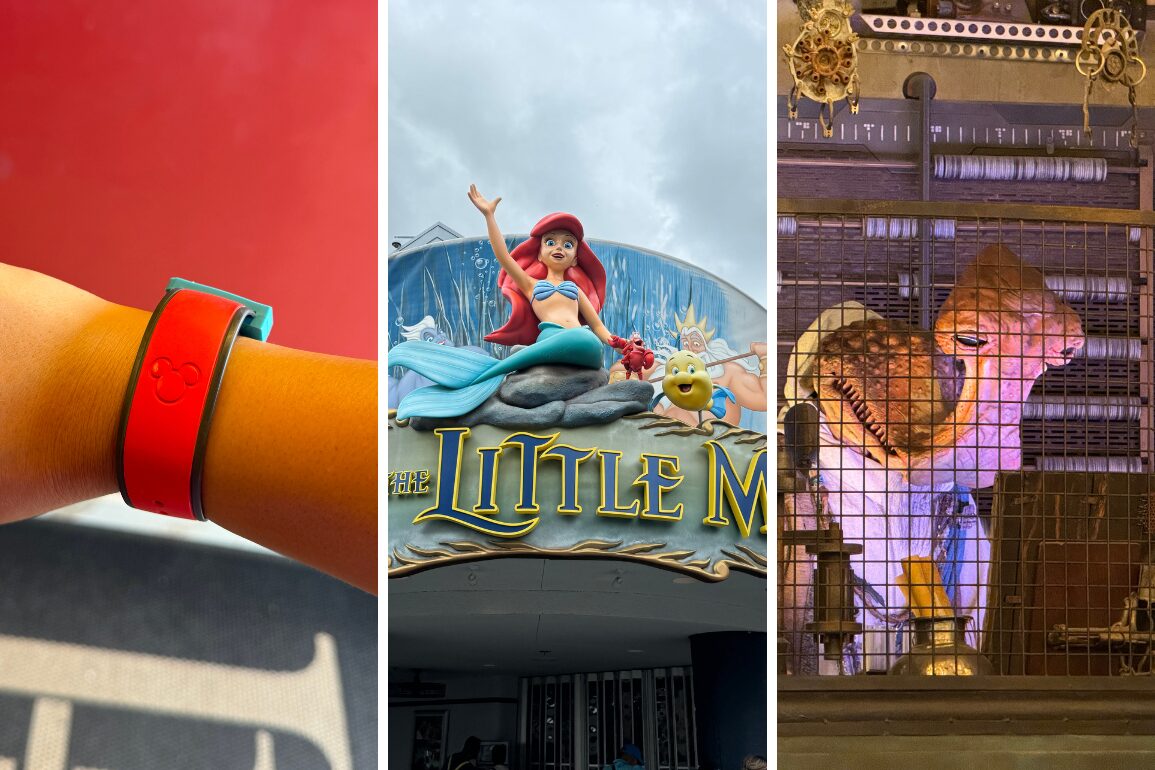 A composite image featuring a red wristband on the left, a sign with animated characters above "The Little Mermaid" in the center, and a mechanical bird in a cage on the right from Disney's Hollywood Studios' photo report dated 9/9/2024.