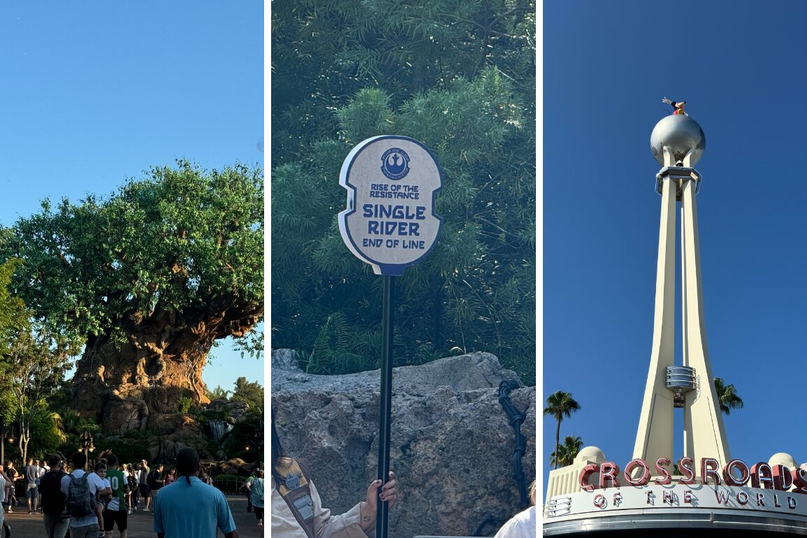 Collage of three images: left shows a large tree at Disney's Animal Kingdom with people around it, center features a "Single Rider" sign, right depicts a tall landmark with "Crossroads of the World" at the base in Hollywood Studios.