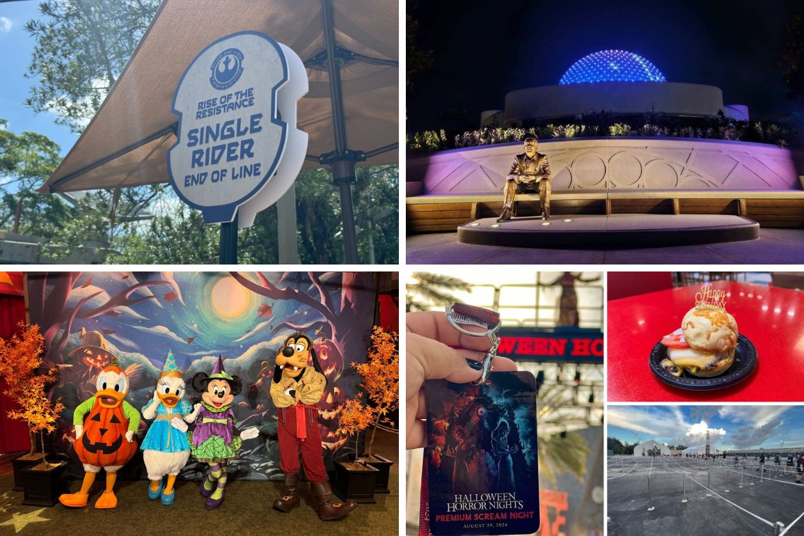 A collage of theme park images showcases a daily recap featuring costumed characters, a ride sign, a nighttime statue, a Halloween event ticket, a dessert, and an empty parking lot.