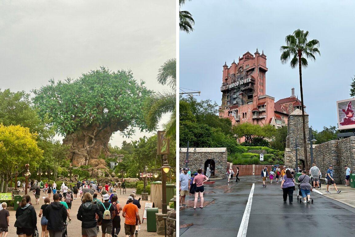 Left image: Crowd walking towards a large, artificial tree structure with carved animals. Right image: People walking near a tall, themed building with "Hollywood Tower" signage, surrounded by palm trees.