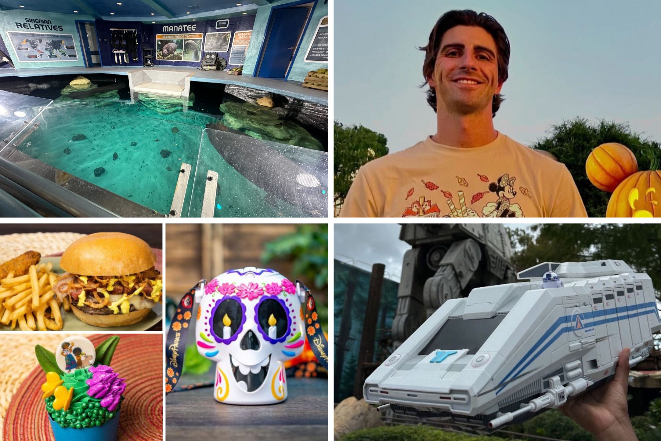 A daily recap collage features an aquarium, a smiling person, a burger with fries, a colorful cupcake, a decorated skull, and a toy spaceship.