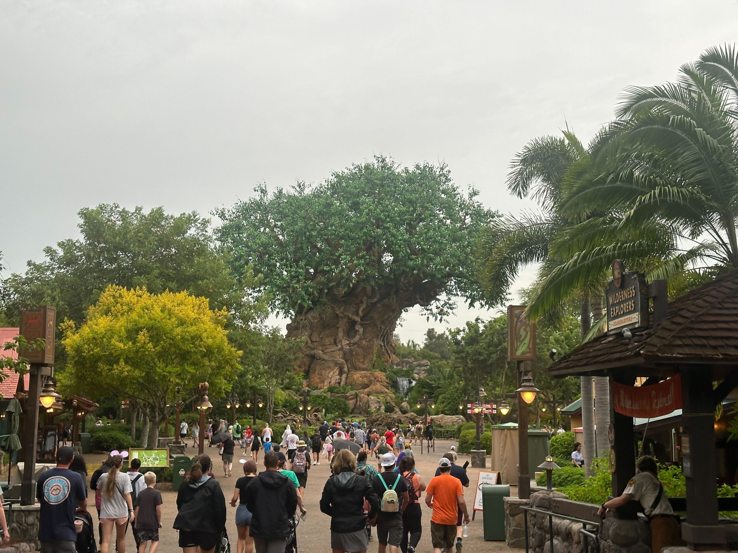 Tourists walk towards the Tree of Life at a theme park, surrounded by tropical trees and various park attractions.