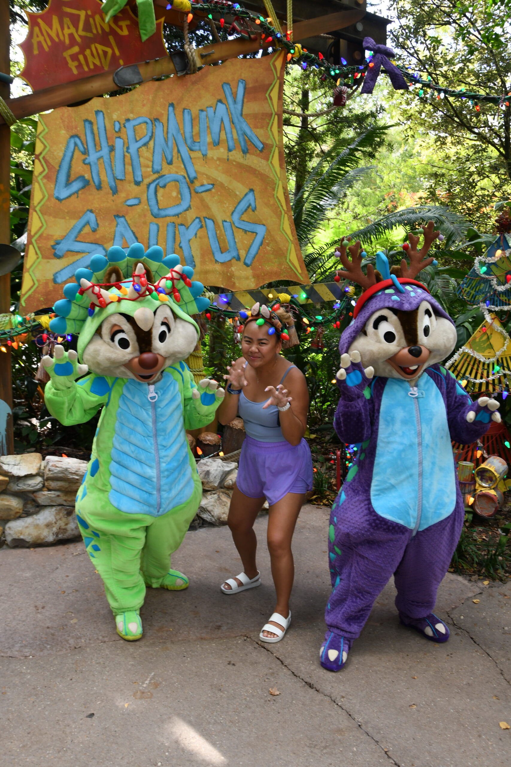 PHOTO REPORT: Disney's Animal Kingdom, Disney's Hollywood Studios