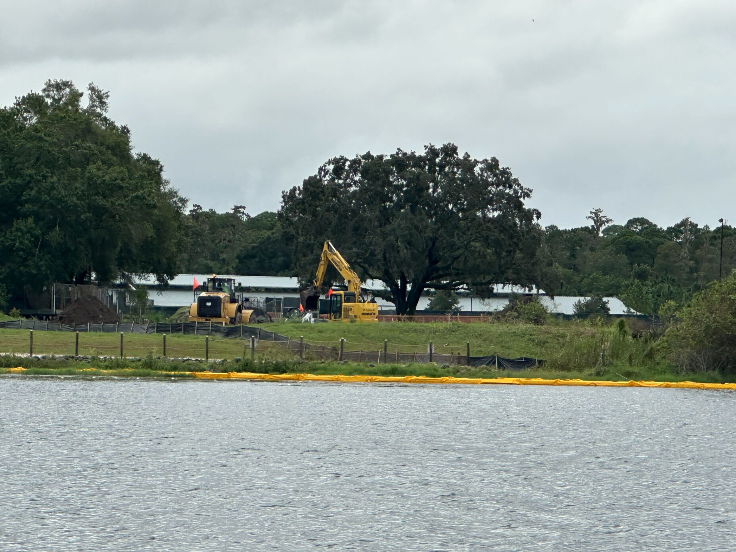 Construction site with excavators near a tree and buildings, next to a body of water under a cloudy sky.