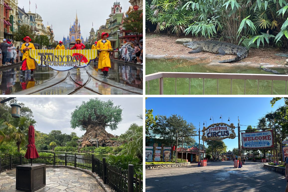 Collage of four images captures the daily recap: a parade with a "Rainy Day Cavalcade" banner, an alligator by water, a tree in a park, and the enchanting entrance to "Storybook Circus" with its welcoming sign.