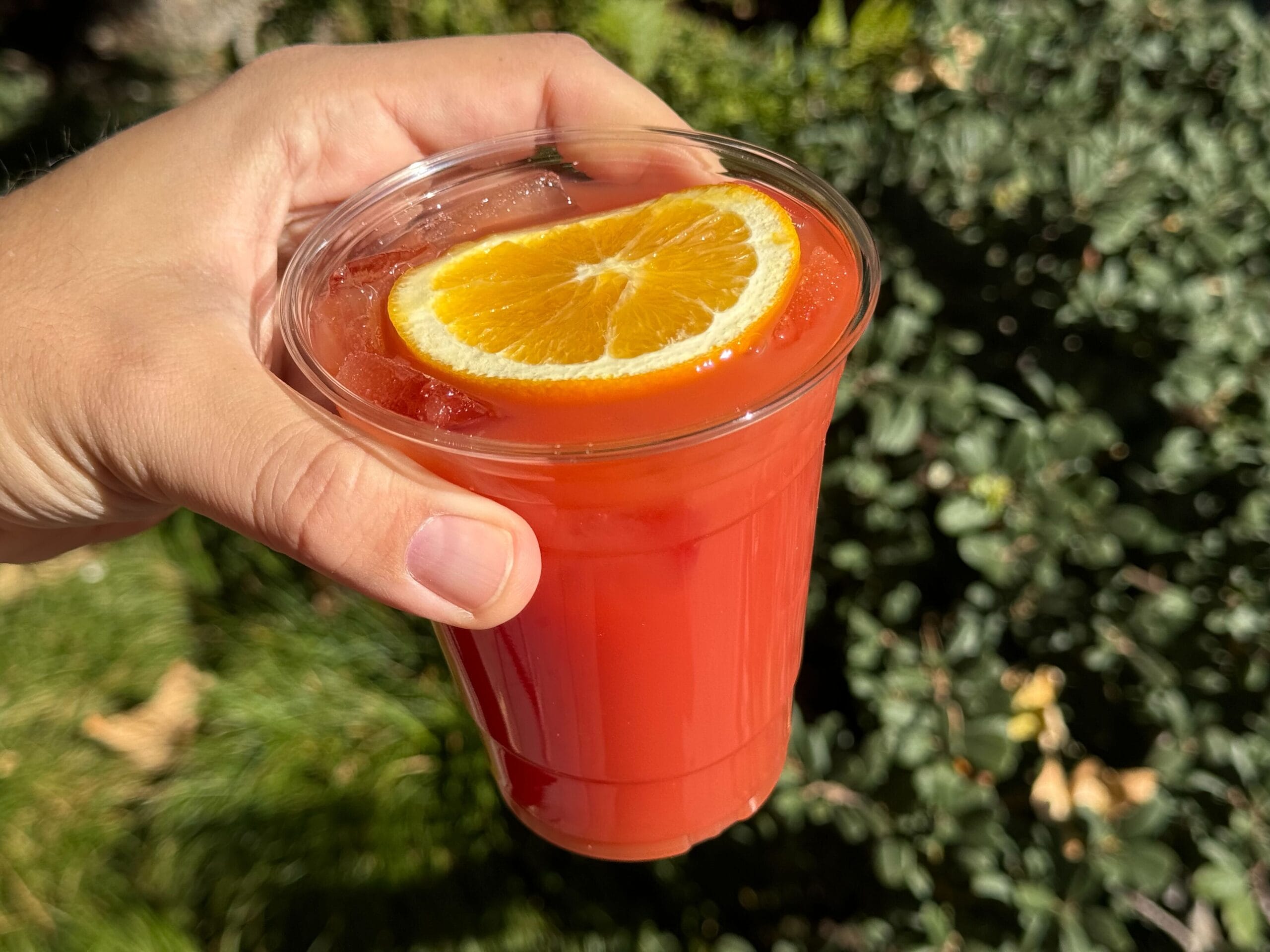 In an outdoor setting brimming with greenery, a hand holds a plastic cup filled with Cranberry Orange Punch, its vibrant red hue complemented by an orange slice perched on top.
