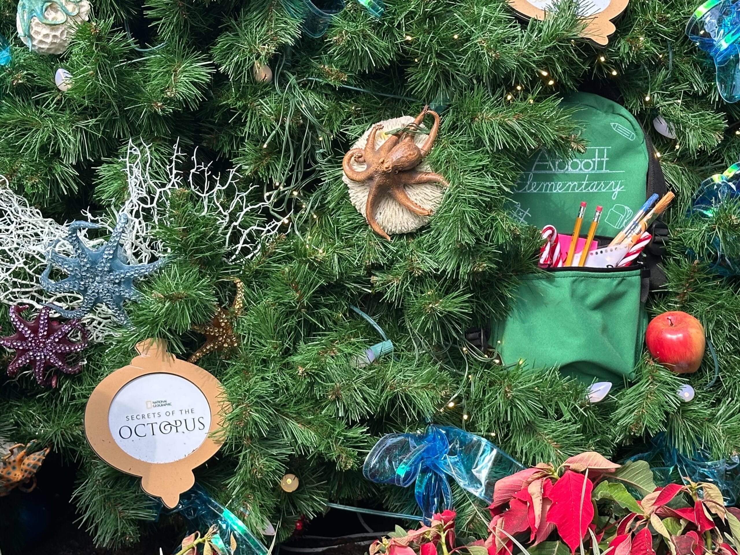 A Christmas tree decorated with ocean-themed ornaments, including an octopus, sea stars, coral, and a pocket holding pencils and an apple.