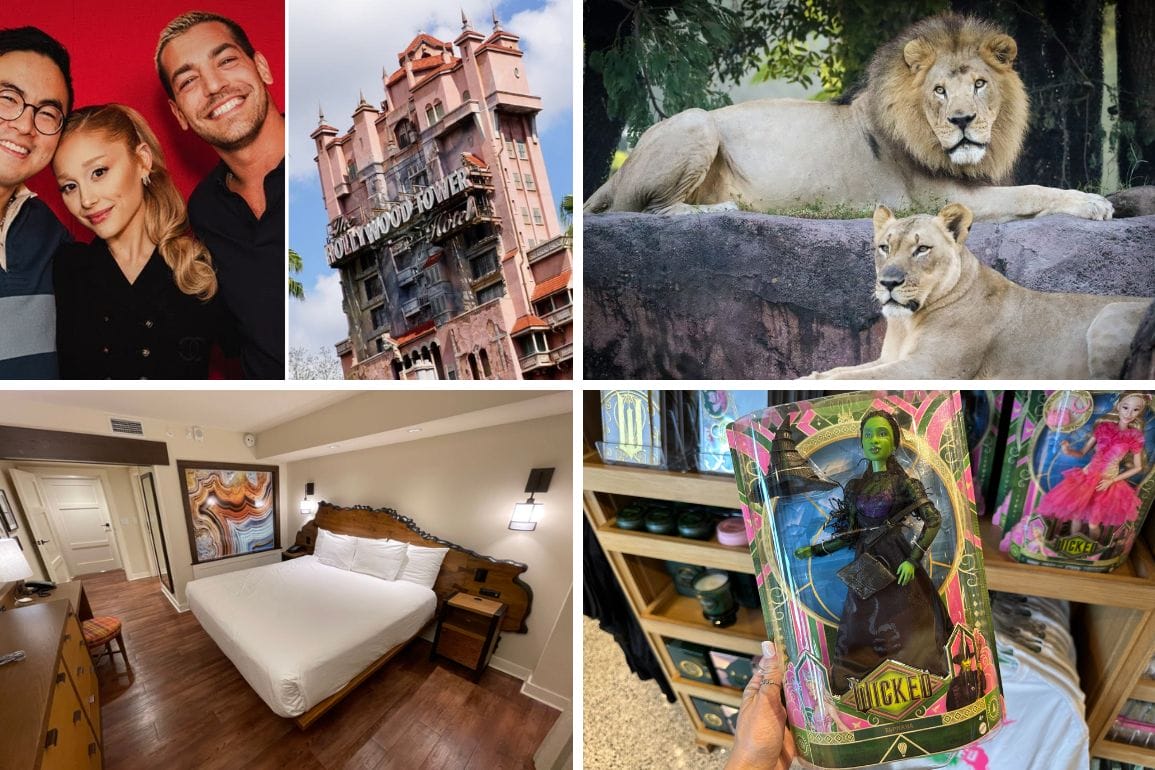 A collage of four images captures the essence of a daily recap: three people posing, the iconic Hollywood Tower Hotel, two lions lounging in the sun, a cozy hotel room, and a 'Wicked' themed tumbler proudly displayed on a store shelf.