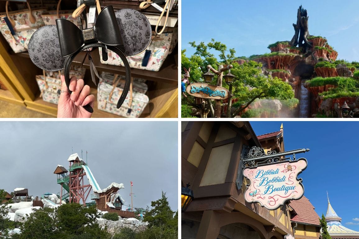 Collage of four amusement park images for a daily recap: a hand holds Mickey-themed ears, a mountain with a log ride, a water slide structure, and a boutique sign reading "Bibbidi Bobbidi Boutique.