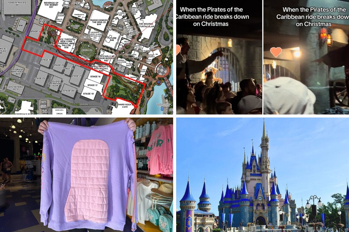 A vibrant collage features a daily recap of magic: a theme park map, a halted ride at the Pirates of the Caribbean attraction, someone clutching a purple shirt, and the iconic Cinderella Castle at Disney Park.