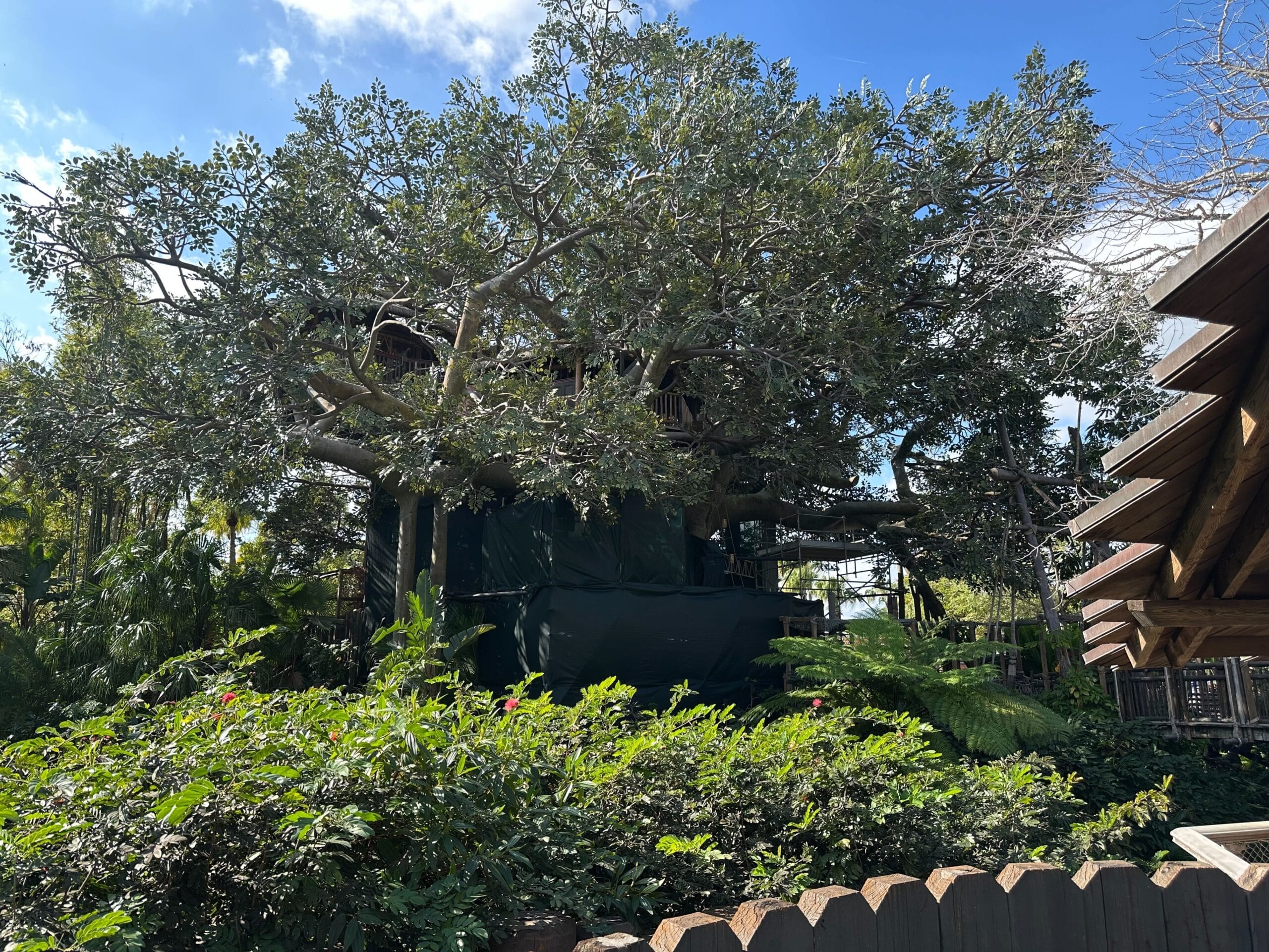 A large, leafy treehouse surrounded by lush greenery under a blue sky.