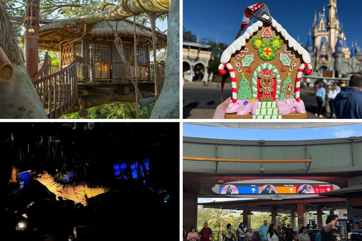 Collage of a treehouse, hand holding a decorated gingerbread house in front of a castle, dinosaur in the dark, and an amusement park entrance sign with directions creates a whimsical daily recap.